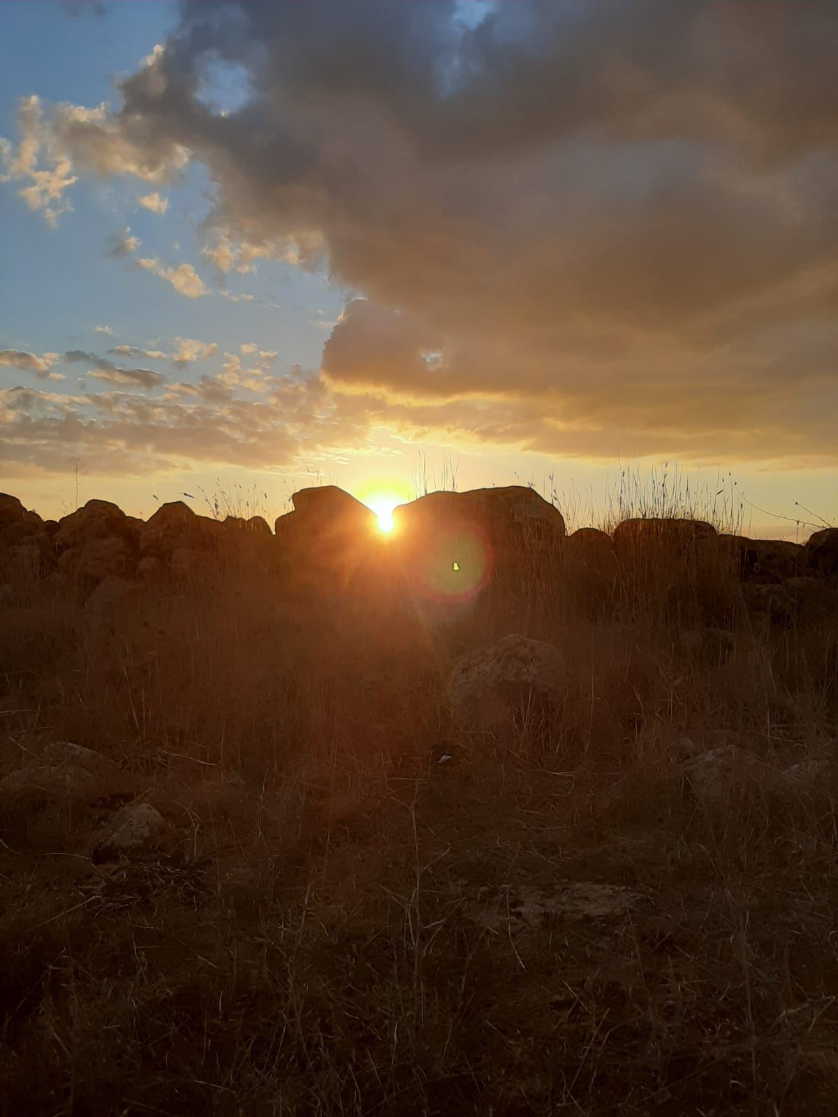 בני ישראל ושמירת התורה 